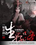 秘术师效果