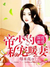 陆少的私宠罪妻免费