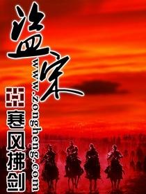 盗宋(合作)
