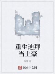 重生之迪拜王子富豪