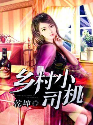 超级小司机李东免费阅读