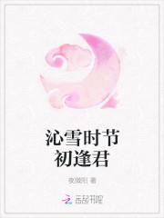 侧妃在上晋江