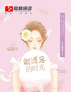 被遗忘的时光全文免费阅读