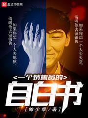 一个销售的自白书txt