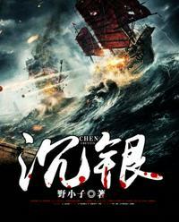 沉银免费阅读609章