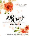 夫贤祸少承诺Z灵月
