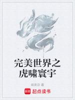 完美世界寰宇精粹先换什么