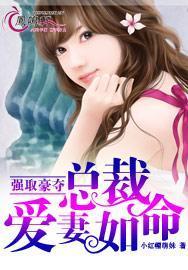强取豪夺总裁爱妻如命书评