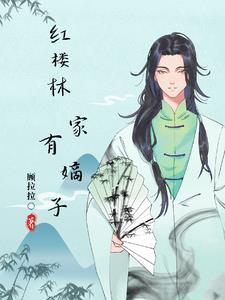 红楼之林家有嫡子txt