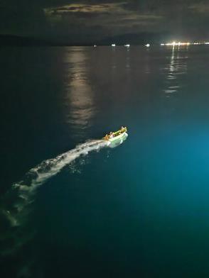 我的航海生涯在线阅读