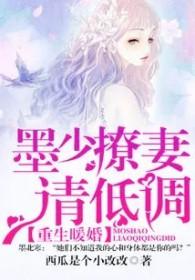 重生暖婚墨少撩妻请低调全文免费阅