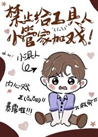 禁止给工具人小管家加戏木南斐免费阅读