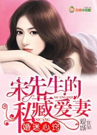宋先生的宠妻日记