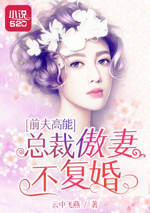 前夫高能:总裁傲妻不复婚